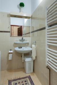 a bathroom with a sink and a toilet and a mirror at Lausev Garden in Subotica