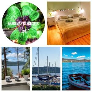 Fotografia z galérie ubytovania Apartmán Čtyřlístek Lipno v destinácii Lipno nad Vltavou