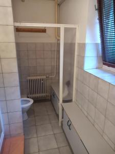 a small bathroom with a toilet and a sink at Chalupa Mlyn Dolný Kubín in Dolný Kubín +94 photos