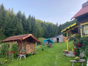 a yard with a small building and a house at Vikendice Jasen in Nova Varoš