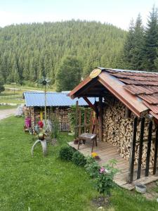 Příroda nedaleko prázdninového domu + 26 fotografií