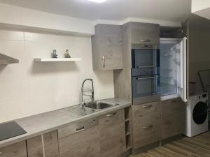 a kitchen with wooden cabinets and a sink and a refrigerator at Plein Soleil 2 in Martigny-Ville