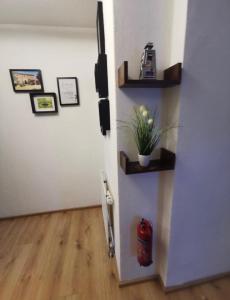 Kép Appartamento Giovanna Rosegg szállásáról Roseggben a galériában