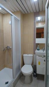 a bathroom with a toilet and a shower and a sink at Accommodation Mell in Ohrid