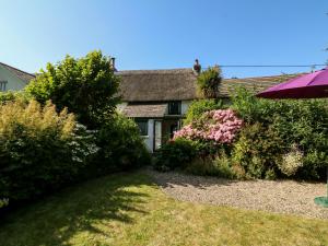 a house with a garden with flowers and an umbrella at Bell Buoy Cottage in Bude