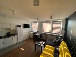 Kuchyňa alebo kuchynka v ubytovaní Apartamenty Czapla