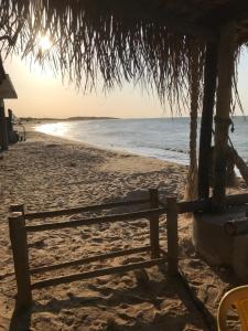 Gallery image of Pousada O Mineiro - frente a praia in Galinhos +19 photos