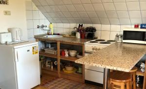 Kuchyňa alebo kuchynka v ubytovaní Szőlőskert Studio Apartman Ábrahámhegy
