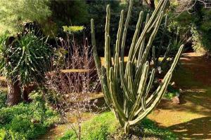 Vonkajšia záhrada v ubytovaní Athens Riviera Garden Views Apartment #Unoblu
