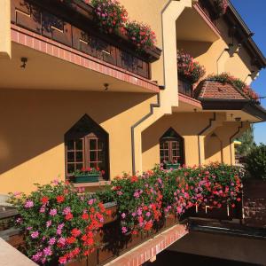 Balkón nebo terasa v ubytování Hotel Le Mandelberg