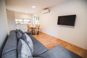 sala de estar con sofá y TV de pantalla plana en Apartments Rozalija, en Preddvor