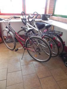 Un grupo de bicicletas estacionadas una al lado de la otra en Tisza-ziza vendégház, en Tiszafüred 2 fotos más