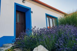 Galeriebild der Unterkunft Chalupa Šakvice l Jižní Morava l Pálava in Šakvice