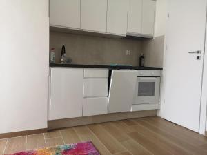 Kuchyňa alebo kuchynka v ubytovaní Forest House Balaton