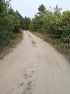 Príroda v okolí apartmánu