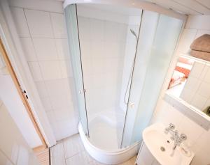 ein Bad mit einer Dusche und einem Waschbecken in der Unterkunft Bieszczady Smolnik Cottage in Smolnik