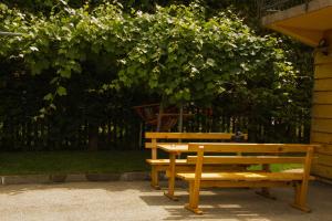 a wooden bench sitting under a large tree at Apartment Silence in Pluzine