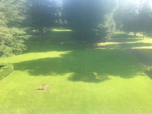 Billede fra billedgalleriet på El Castillo, aux portes de Honfleur i Gonneville-sur-Honfleur