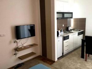 a kitchen with a sink and a tv on the wall at Villa Orela Zenica in Zenica