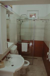 y baño con aseo, lavabo y ducha. en Apartment Silence, en Plužine