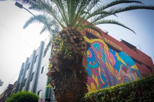 een palmboom voor een kleurrijke muur bij Hotel Santa Maria in Mexico-Stad