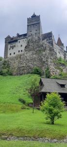 ブシュテニにあるKalinderu SKIER'S APARTAMENT BELLEVUEの緑の丘の上に座る大城