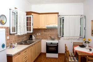 Kuchyň nebo kuchyňský kout v ubytování Holiday Apartments Tonia - Pelekas Beach