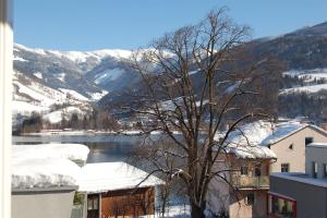 Paesaggio naturale nelle vicinanze dell'appartamento