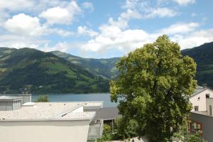 Paesaggio naturale nelle vicinanze dell'appartamento