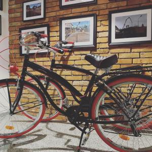 Jazda na bicykli v okolí ubytovania Apartamenty u Harrego BOUTIQUE SPA z klimatyzacja, balkon, sauna, tężnia parking