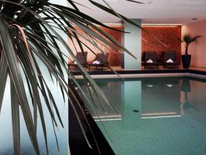 a swimming pool with chairs and a palm tree at Das Thiers in Thiersee