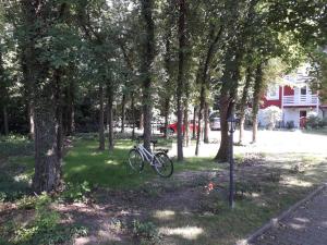 Zahrada ubytování Hotel Rosengarten Leipzig-Naunhof