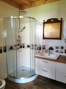 W łazience znajduje się szklana kabina prysznicowa i umywalka. w obiekcie Fuledzkie Zacisze w mieście Fuleda