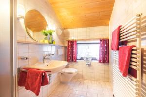 a bathroom with a sink and a toilet and a mirror at Steinberger Hof in Ruhpolding