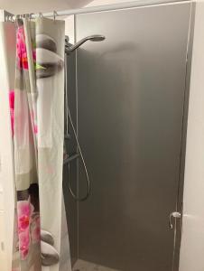 a shower in a bathroom with a shower curtain at Appartement La Libellule, professionnels et vacanciers in Compreignac