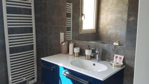 a bathroom with a sink and a mirror at Fred et Jules in Beaulieu-sur-Dordogne