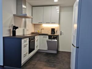 Kuchyň nebo kuchyňský kout v ubytování B3c Dornbirn Hills