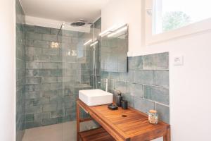 a bathroom with a sink and a shower at VILLABRY in La Ferté-Saint-Cyr +10 photos