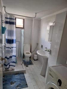 Kúpeľňa v ubytovaní Lucas Lux Flogita apartment