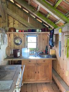 eine Küche mit einer Spüle und einer Arbeitsplatte in der Unterkunft Little Lucky Hope Ranch in Innernzell