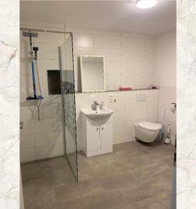 a bathroom with a shower and a sink and a toilet at Little Lucky Hope Ranch in Innernzell