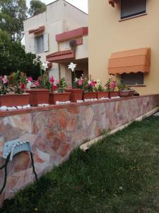 un mur de rétention avec des plantes en pot sur une maison dans l'établissement Domomea, à Quartu SantʼElena