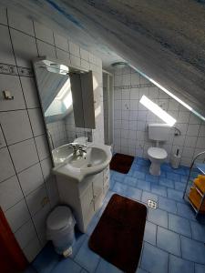 łazienka z umywalką, toaletą i lustrem w obiekcie Schilcherweinbau Vollmaier vlg. Wieser w mieście Sankt Stefan ob Stainz +13 zdjęć