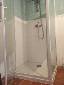 een douche met een glazen deur in de badkamer bij Auprès du château 2 in Brézé