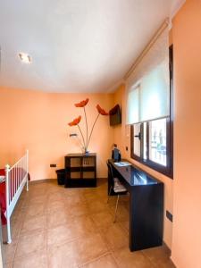 TV a/nebo společenská místnost v ubytování Apartamentos Turisticos Graus