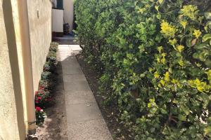 Un jardín con flores amarillas junto a un muro. en Casina Marina, en Marina di Pisa