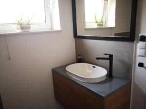 un bagno con lavandino e specchio di Apartament w Dolinie Popradu 2 a Piwniczna