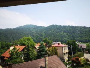 a view of a town with trees and a mountain at Apartament w Dolinie Popradu 2 in Piwniczna-Zdrój