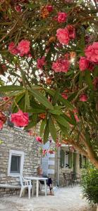 Eine Person sitzt an einem Tisch unter einem Baum mit Blumen in der Unterkunft Tolos Budget Rooms Loggos in Longós + 48 Fotos