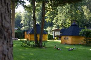 een groep vogels in het gras bij een hut bij Camping Het Vossenhol in Ermelo